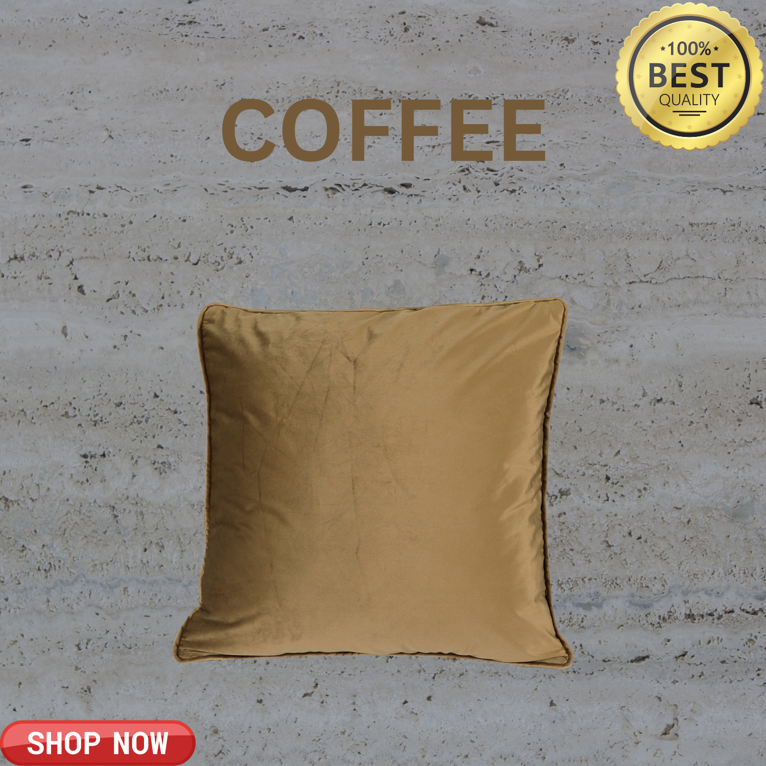 VELVET CUSHION COVERS